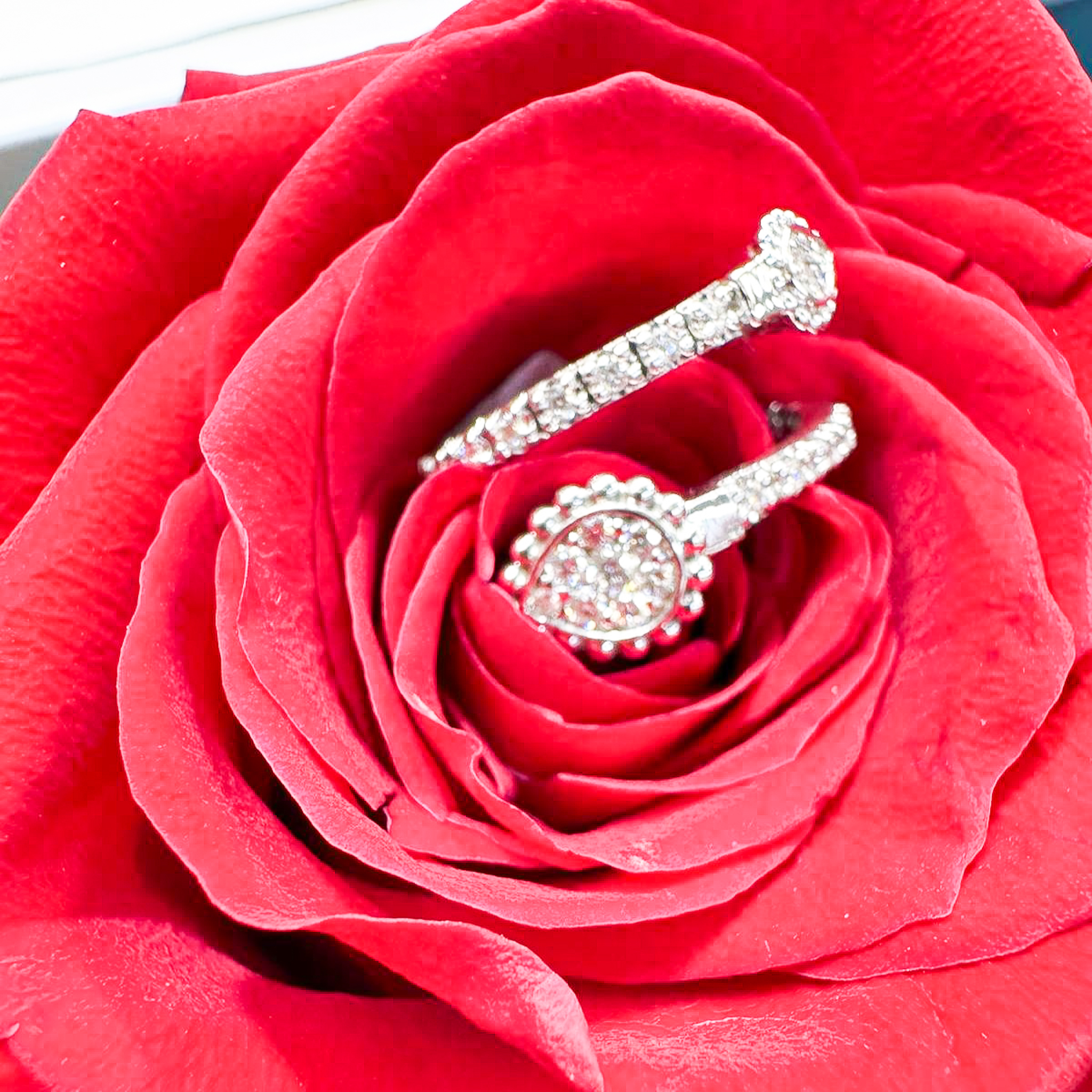 Beautiful diamond engagement ring set nestled in red rose petals
